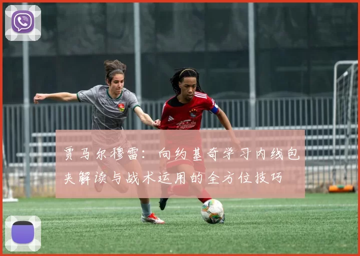 贾马尔穆雷：向约基奇学习内线包夹解读与战术运用的全方位技巧